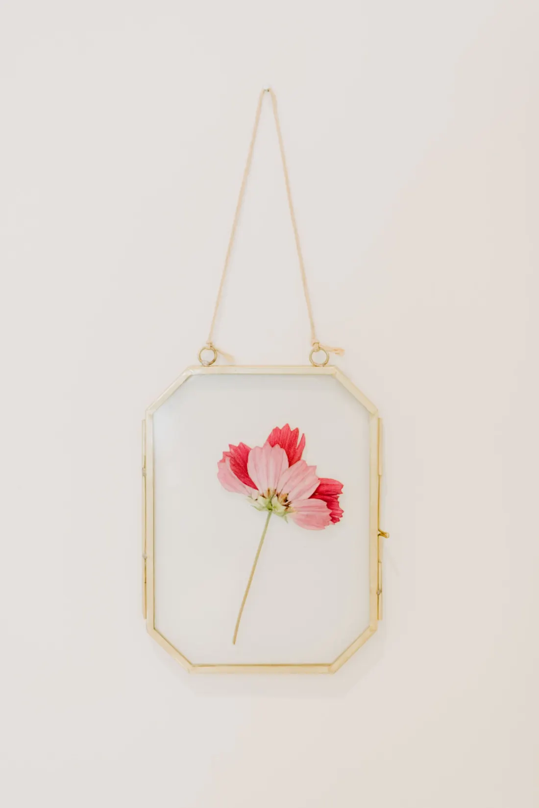 Gepresste Blüte in einem goldenen Bilderrahmen als Deko-Detail